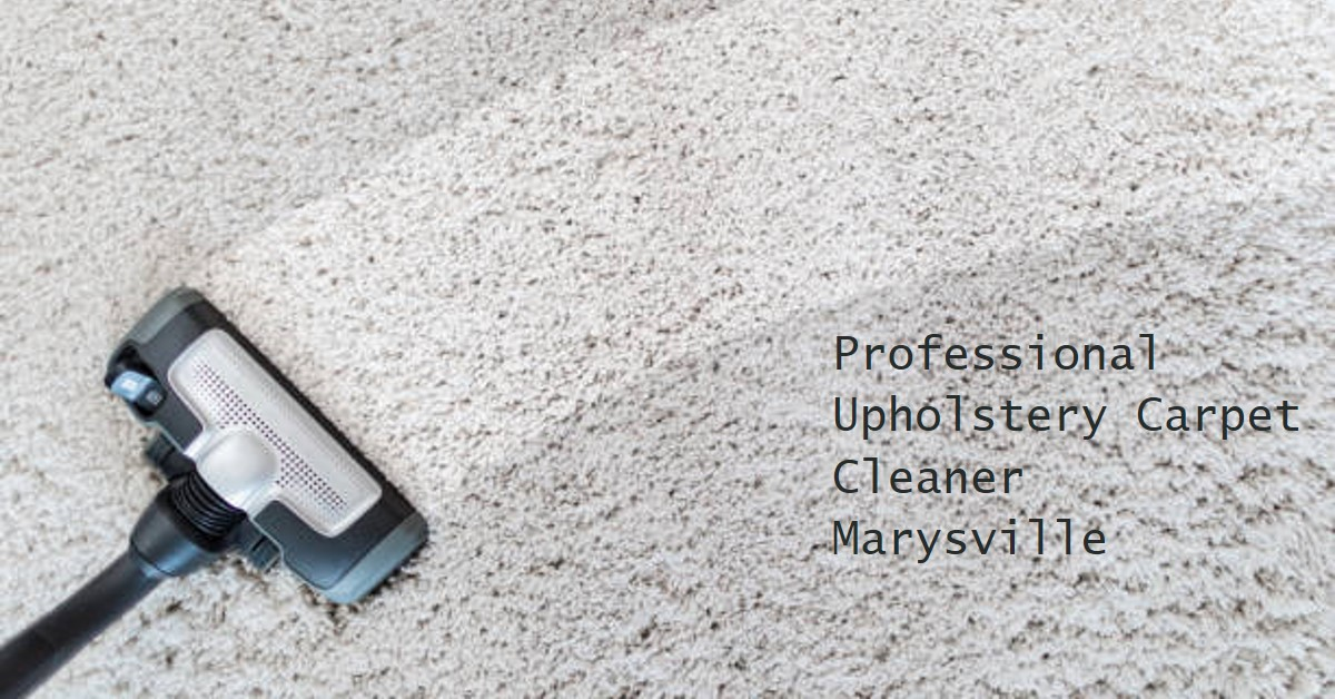 Professional Upholstery Cleaner Marysville, Professional Upholstery Cleaning Service
